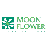 Immagine marchio logotipo Moon Flower. Progetto grafico by Carnieletto & Zaffalon Associati storico studio grafico di Ponte di Piave fondato nel 1994 e ora trasformato nell'agenzia pubblicitaria Holbein & Partners TV.