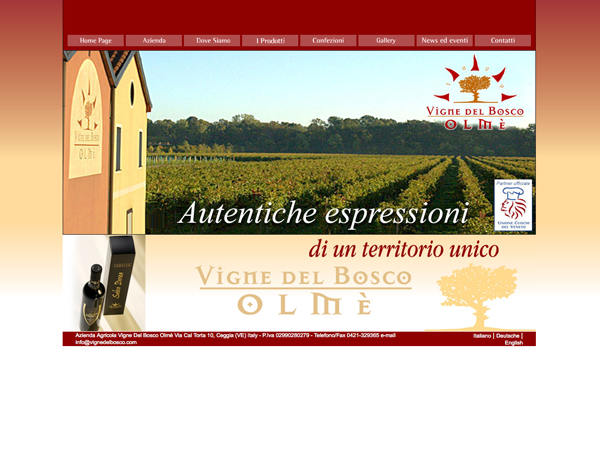 Progettazione siti web a Treviso