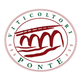 Immagine marchio logotipo Viticoltori Ponte. Brand curato da Carnieletto Andrea fondatore della Holbein & Partners Agency di Treviso. 