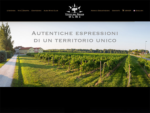 Sito web realizzato dalla Holbein & Partners per Vigne del Bosco Olmè